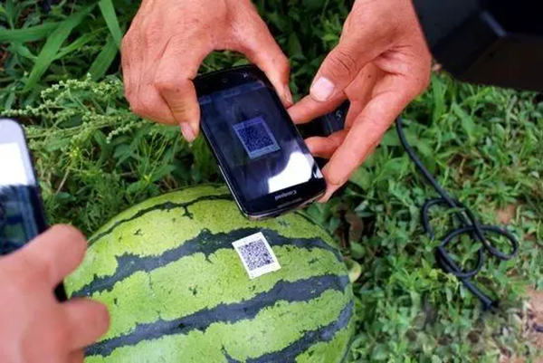 1535073519460913153.png 1535073519460913153.png