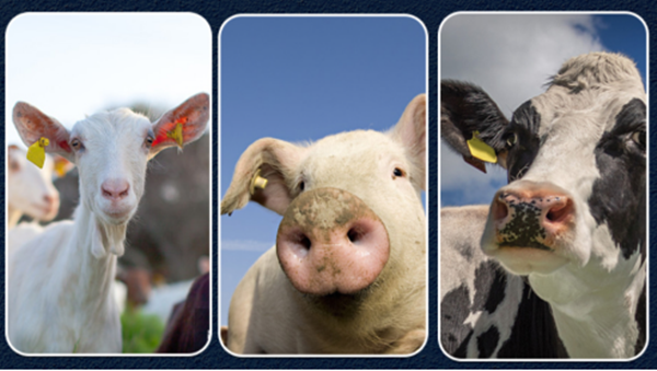 1538101858798899202.png 1538101858798899202.png