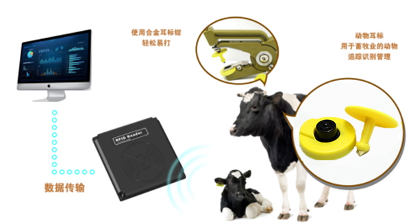 1538101980945420290.png 1538101980945420290.png