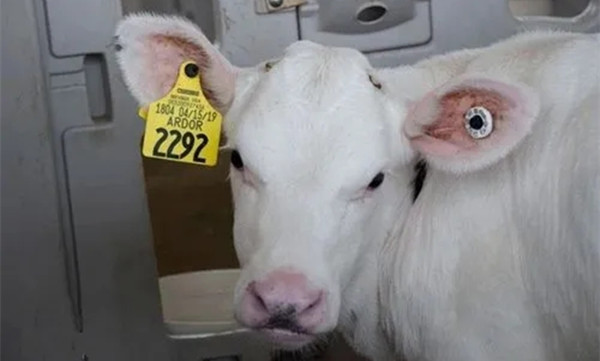 1555133497018105857.jpg 1555133497018105857.jpg