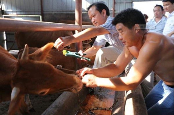 1571801076302299138.jpg 1571801076302299138.jpg