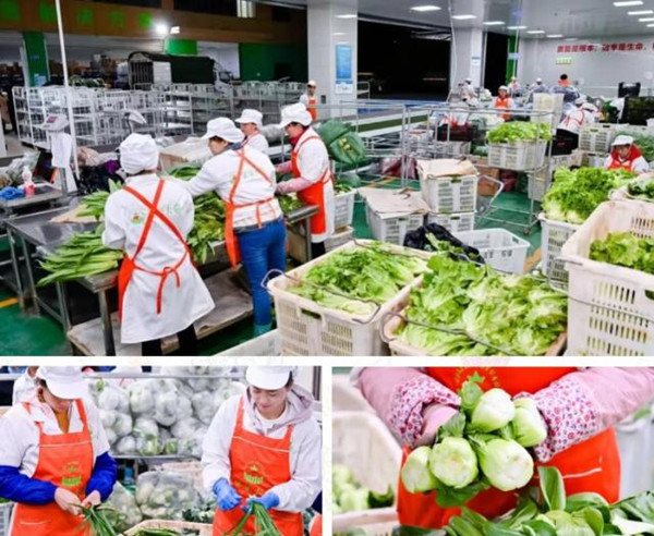 1588830309255979010.jpg 1588830309255979010.jpg